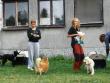 agility kemp Větřkovice (posvátné místo agiliťáků)